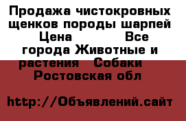 Продажа чистокровных щенков породы шарпей › Цена ­ 8 000 - Все города Животные и растения » Собаки   . Ростовская обл.